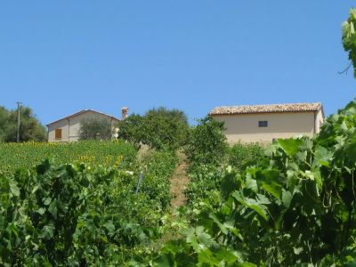 Agriturismo la Tamerice