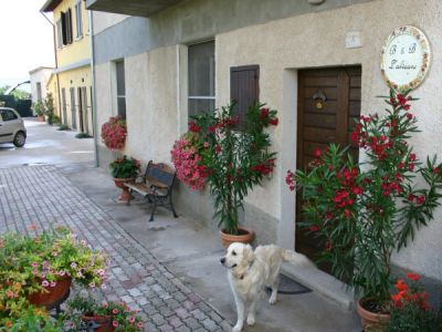 B&B L'alveare