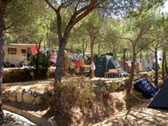 Camping Europa Di Bruno Orsola