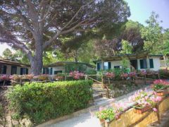 Camping Village Acquaviva