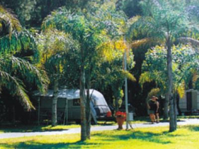 Camping Mokambo