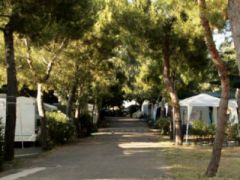 Camping Villaggio IL PILONE