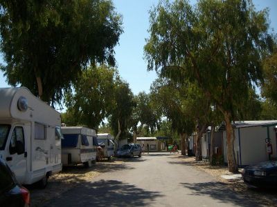 Camping Internazionale Ippocampo
