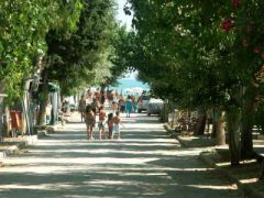 Camping La Pineta