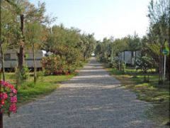 Camping Maronda