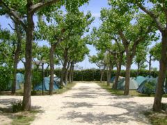 Camping Delle Rose