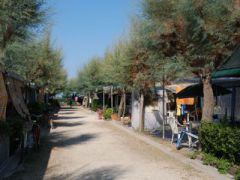 Camping Girasole