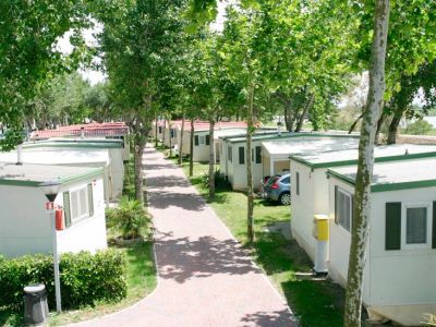 Camping Oasi