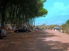 Camping Pineta di Pasquale Carpino