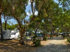 Camping Village Bocche d'Albegna