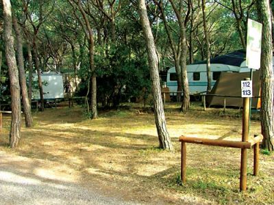 Camping Internazionale Etruria