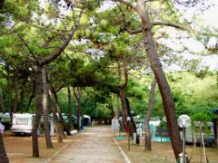 Camping Il Capannino