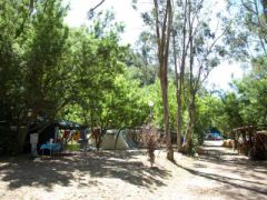 Camping delle Rose