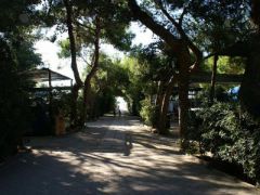 Il Calabriano Villaggio Camping