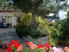 Alle Ginestre Capri Bed Breakfast