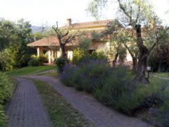 Olivanda Agriturismo Bed and Breakfast